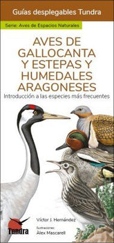 AVES DE GALLOCANTA Y ESTEPAS Y HUMEDALES ARAGONESES - 9788419624017